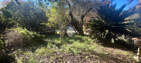 4غرفة شقة في Trevignano Romano, Italy رقم 29591 46