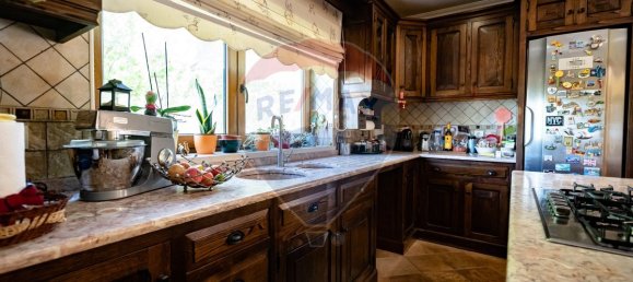 4 bedrooms House in Cernache, Portugal No. 25918 5