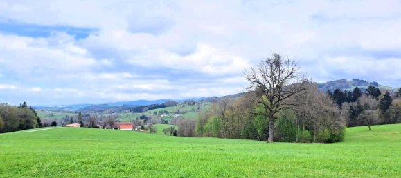 Grundstück in Purgstall an der Erlauf, Austria, Nr. 53625 2
