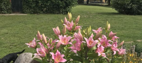 2 Schlafzimmer Bauernhof in Demmin, Germany, Nr. 194253 19