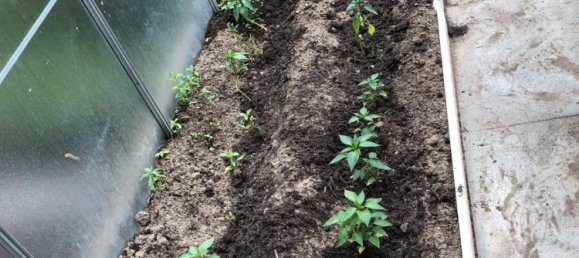 Terreno en Dortmund, Germany No. 263853 2