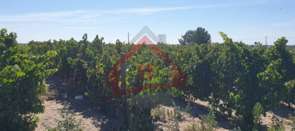 4 bedrooms Castles in Palmela, Portugal No. 119907 20