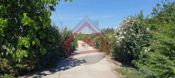 4 bedrooms Castles in Palmela, Portugal No. 119907 30