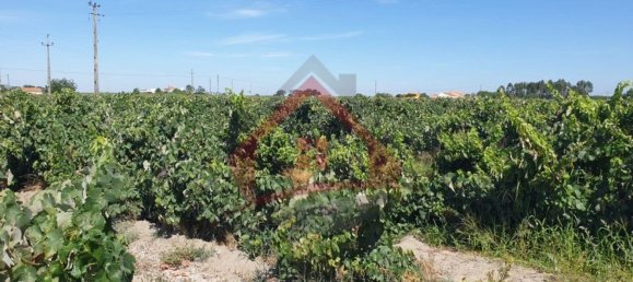 4 bedrooms Castles in Palmela, Portugal No. 119907 25