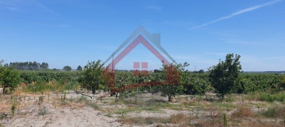 4 bedrooms Castles in Palmela, Portugal No. 119907 28