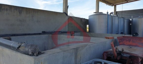 4 bedrooms Castles in Palmela, Portugal No. 119907 19