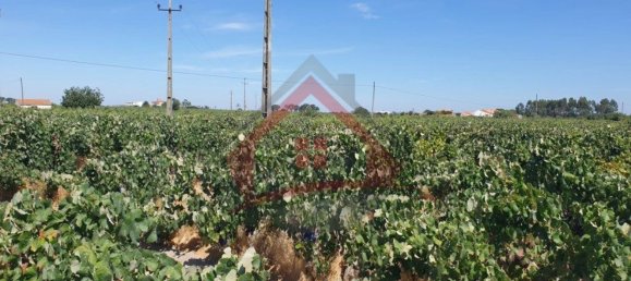 4 bedrooms Castles in Palmela, Portugal No. 119907 31