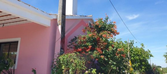 4 bedrooms Castles in Palmela, Portugal No. 119907 15