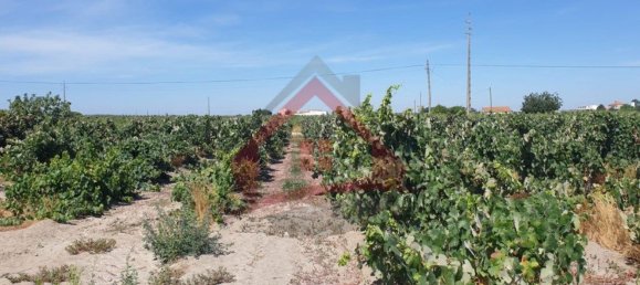 4 bedrooms Castles in Palmela, Portugal No. 119907 29