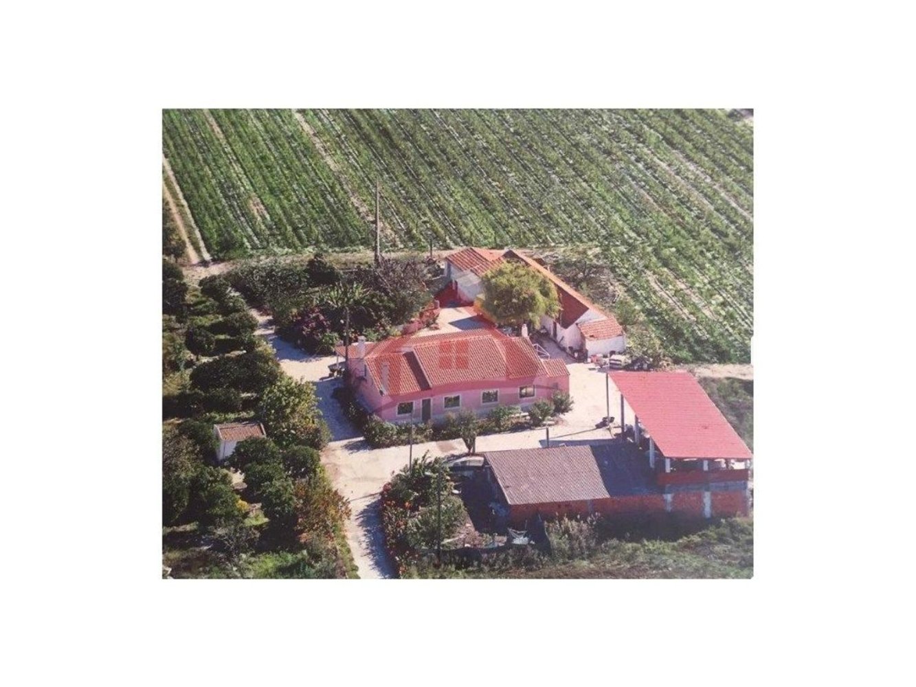 4 bedrooms Castles in Palmela, Portugal No. 119907