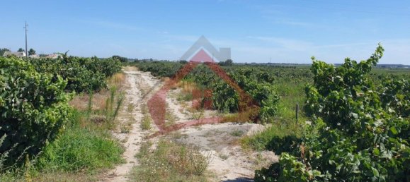 4 bedrooms Castles in Palmela, Portugal No. 119907 24