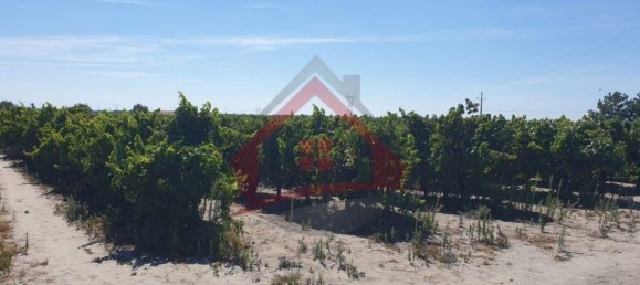 4 bedrooms Castles in Palmela, Portugal No. 119907 23