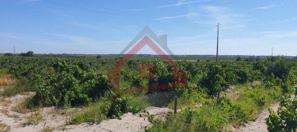 4 bedrooms Castles in Palmela, Portugal No. 119907 26