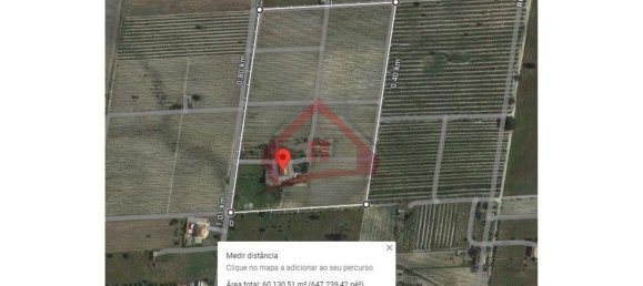 4 bedrooms Castles in Palmela, Portugal No. 119907 10