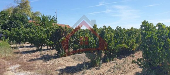 4 bedrooms Castles in Palmela, Portugal No. 119907 21