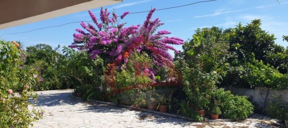 4 bedrooms Castles in Palmela, Portugal No. 119907 12