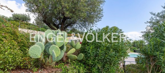 3 rooms Apartment in Spotorno, Italy No. 64946 8