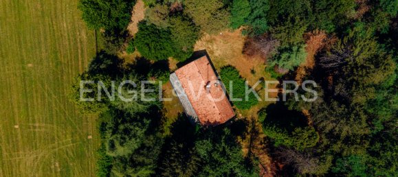 Villa de 7 dormitorios en Gornate-Olona, Italy No. 126331 4