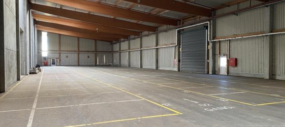 Gewerbliche Immobilie in Heiligenkreuz im Lafnitztal, Austria 2092m², Nr. 134576 19