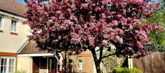 Casa T2 em Sutton, United Kingdom N.º 14487 28