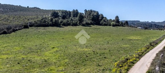 Земельный участок 41887м² в Вьесте, Италия № 87502 3