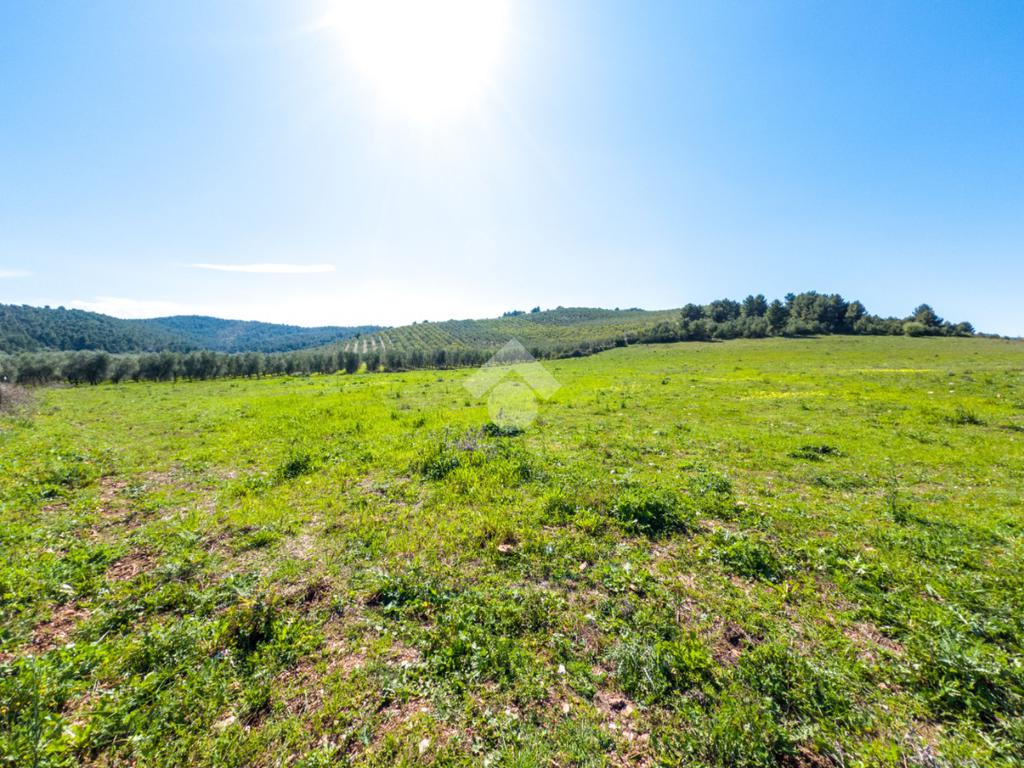 Земельный участок 41887м² в Вьесте, Италия № 87502