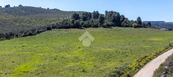 Земельный участок 41887м² в Вьесте, Италия № 87502 7