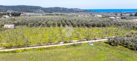 Земельный участок 41887м² в Вьесте, Италия № 87502 11