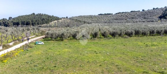 Земельный участок 41887м² в Вьесте, Италия № 87502 12