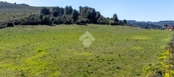 Земельный участок 41887м² в Вьесте, Италия № 87502 6