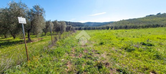 Земельный участок 41887м² в Вьесте, Италия № 87502 2