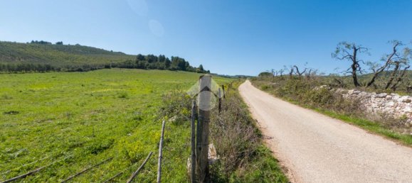 Земельный участок 41887м² в Вьесте, Италия № 87502 9