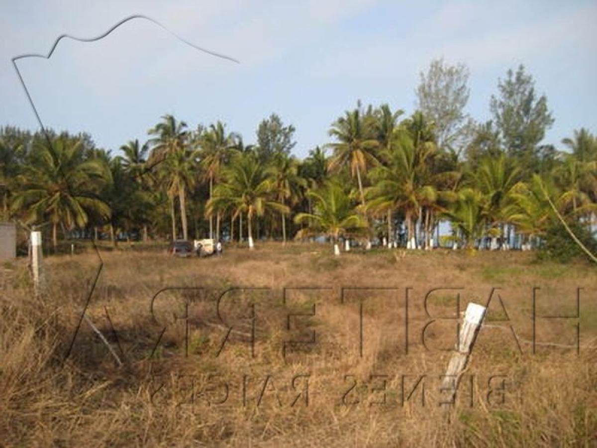  قطعة أرض في Veracruz, Mexico رقم 202867