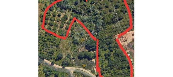 Grundstück in Loule, Portugal 6200m², Nr. 234610 3