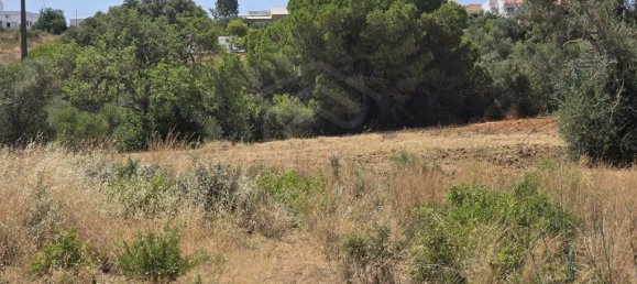 Grundstück in Loule, Portugal 6200m², Nr. 234610 7