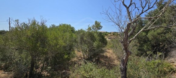 Grundstück in Loule, Portugal 6200m², Nr. 234610 8