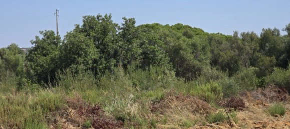 Grundstück in Loule, Portugal 6200m², Nr. 234610 10