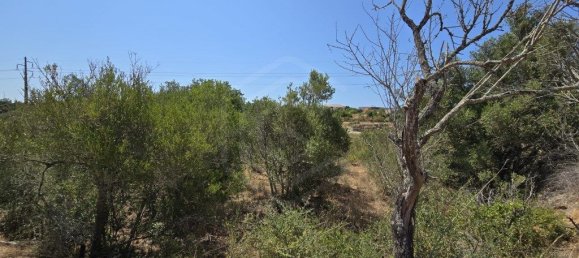 Grundstück in Loule, Portugal 6200m², Nr. 234610 9