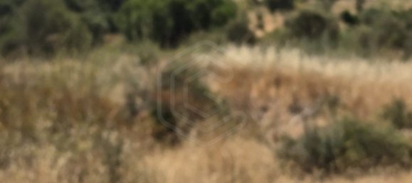 Grundstück in Loule, Portugal 6200m², Nr. 234610 5