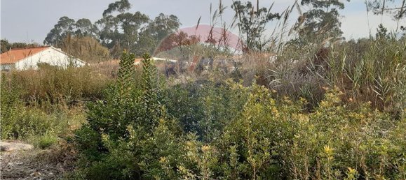 2500m² Land in Aljubarrota, Portugal No. 71302 3