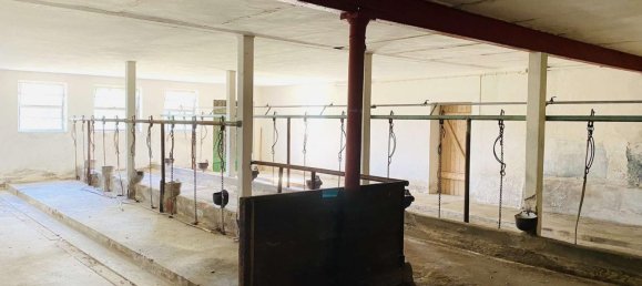 3 غرف نوم مزرعة في Duchy of Lauenburg, Germany رقم 13640 15