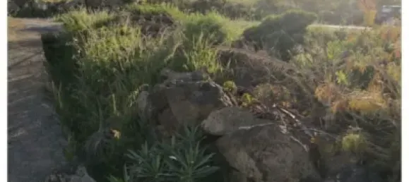 Земельный участок в Фиргас, Испания № 65338 11