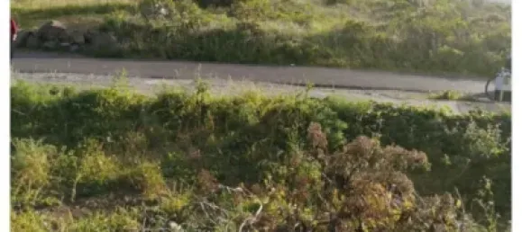 Земельный участок в Фиргас, Испания № 65338 7