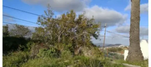 Земельный участок в Фиргас, Испания № 65338 4