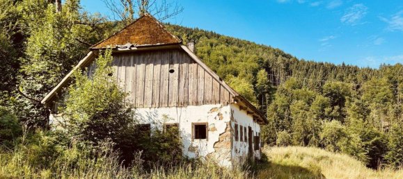 Дом с 9 комнатами в Альтмюнстер, Австрия № 144699 15