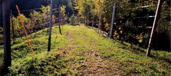 6 rooms House in Refrontolo, Italy No. 288624 18