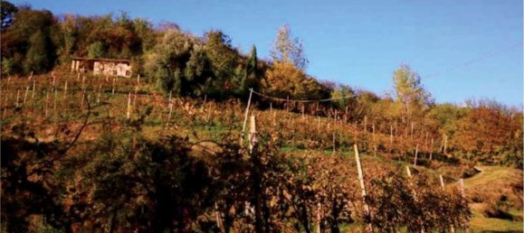 6 rooms House in Refrontolo, Italy No. 288624 16