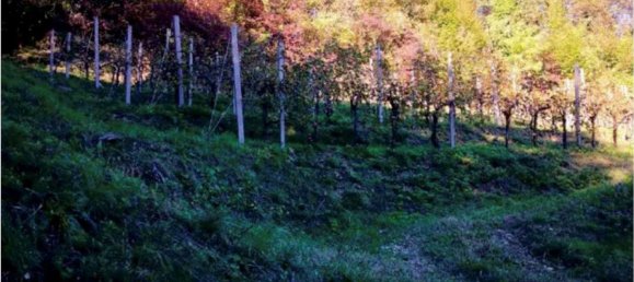 6 rooms House in Refrontolo, Italy No. 288624 5