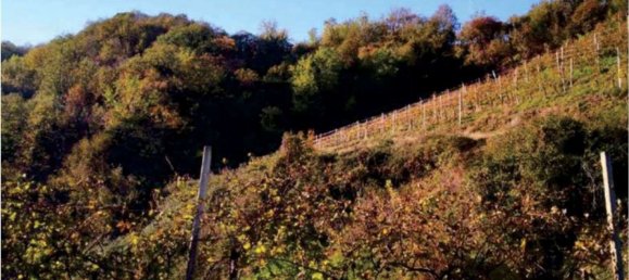 6 rooms House in Refrontolo, Italy No. 288624 17