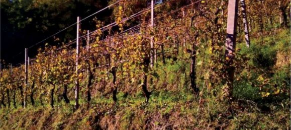 6 rooms House in Refrontolo, Italy No. 288624 14